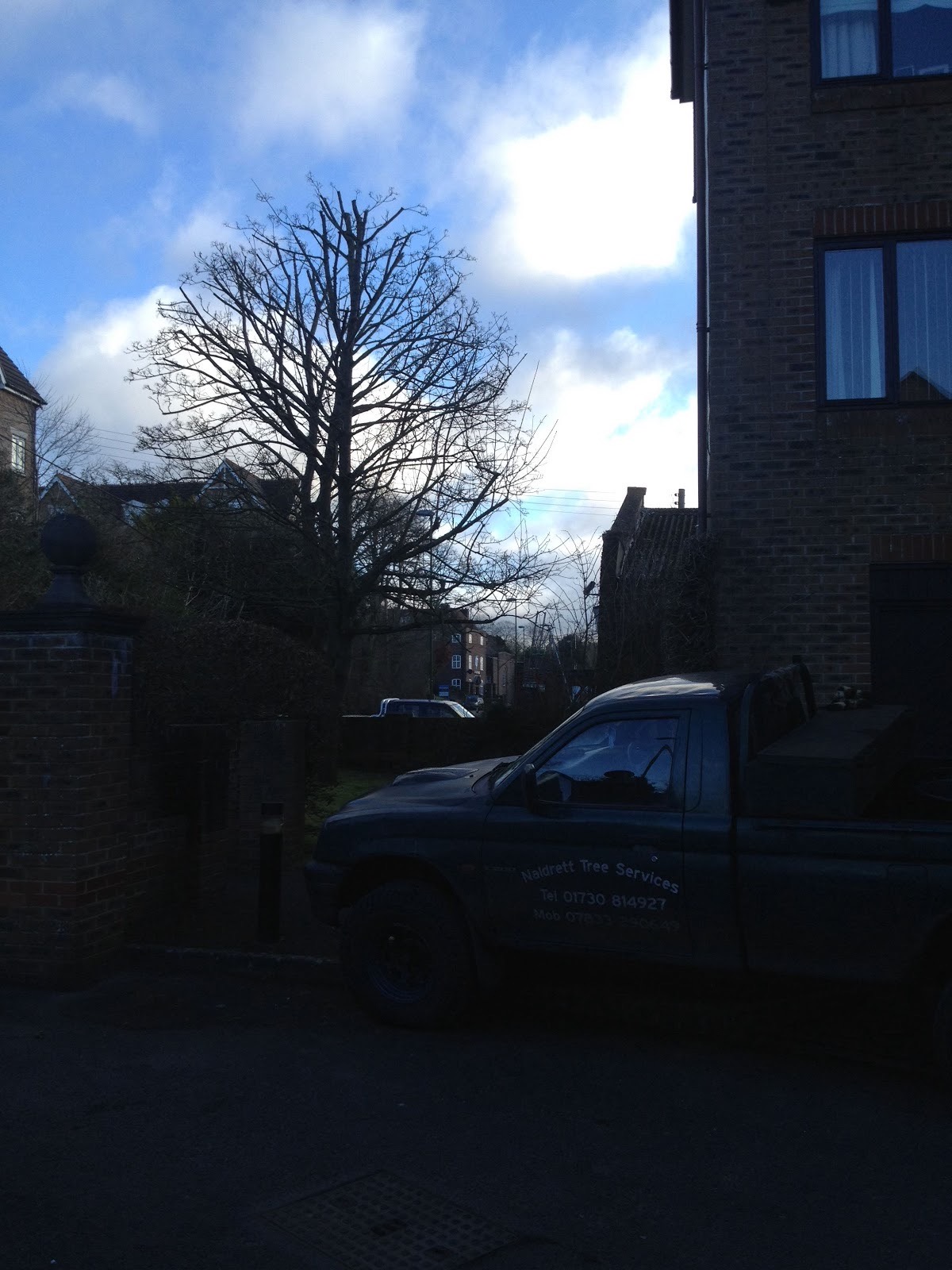 Naldrett Tree Services truck parked at dusk beneath a pruned tree