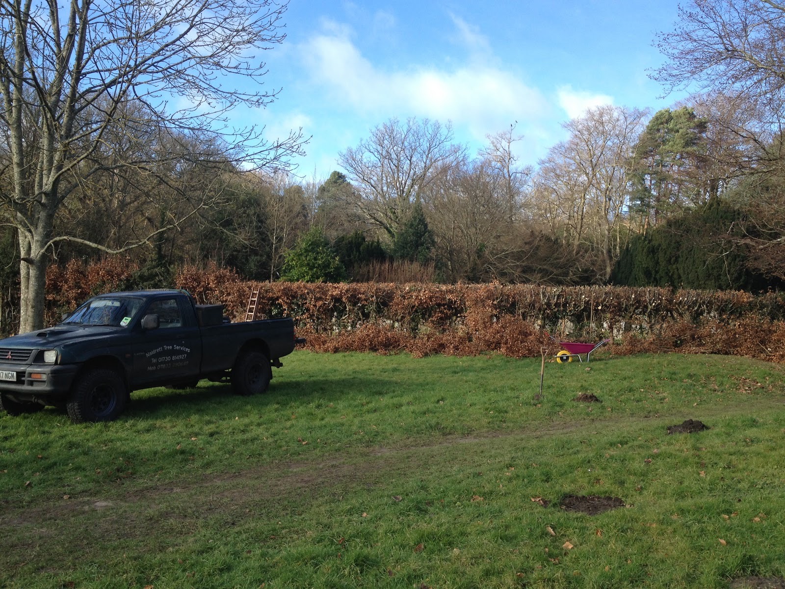 Naldrett Tree Services truck parked beside a hedge and field